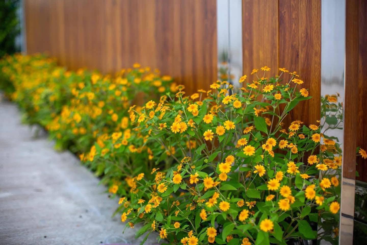 643417777_122250888884262699_5647254209650949592_n